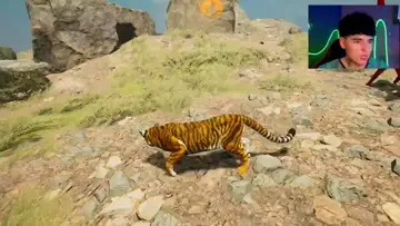 gugando con gatito