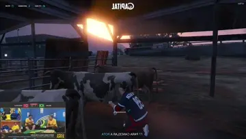 policia da capital