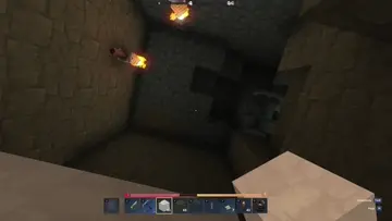 bug