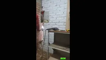 Hammer to the knee cap.