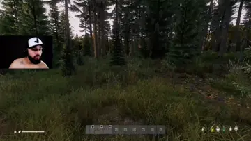 olha o urso ai 😦