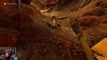 nope, nope, nope.