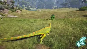 rip