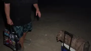 La cucaracha queria ser famosa 😂