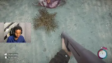 yyyy