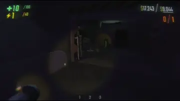 domino