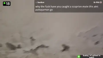 6 Inch Scorpion