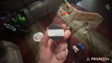 ‘Scooby Snacks’ Cold Cure Rosin