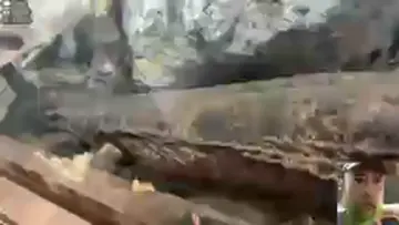 😲