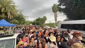 ajua ajua jajaja 