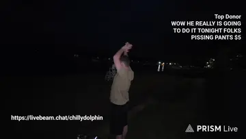 dolphin pukes