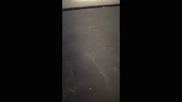 go
