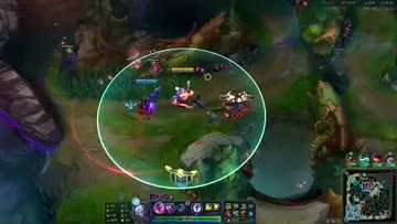 tek yiyen neeko