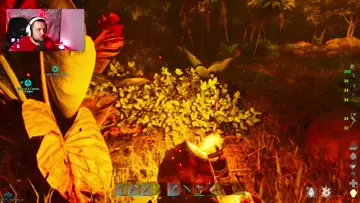 Megaraptor na svém místě...  