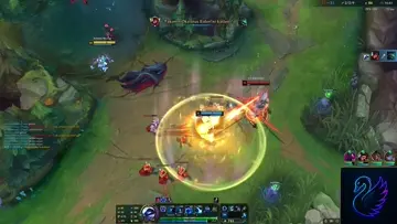 poppy