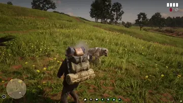 wolves attack