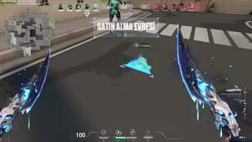 aa