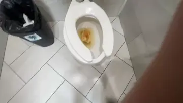 I found a turd in a restroom 
