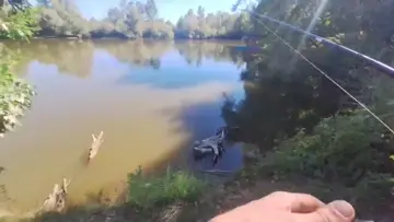 🇭🇺🎣Hotspot am Totholz! Spinner-Jagd 🐊🚀