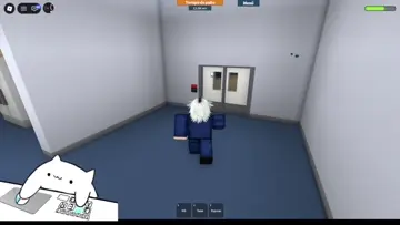 clips