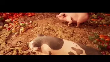 🐷Farts in the sky