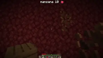 manzana 10