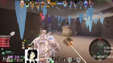 bug