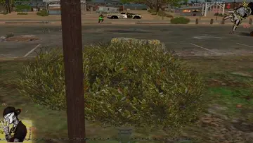 ............