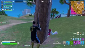 Ninja