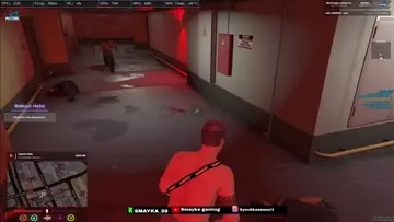 dib