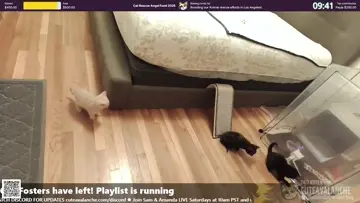 ##