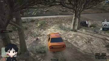 ds