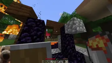 xd