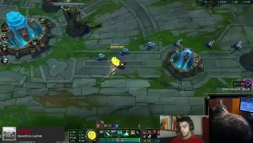 spongebob import quadra