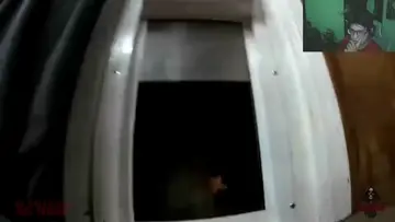 me espanto lo ultimo