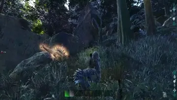 RIP DODO