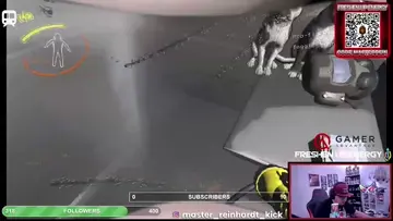 Wtf Dead cat screaming