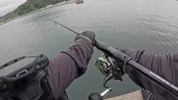 野糞があると釣れるっていうジンクスがある、野糞パターン。