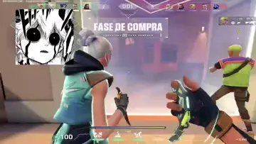 meo entry siono compañero