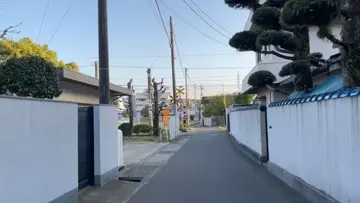 イノシシの近所