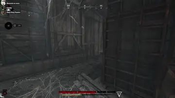 Spider schwiggy