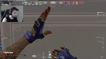 gekko 1