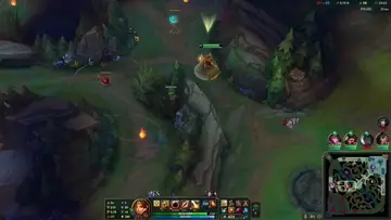 idealna fiora
