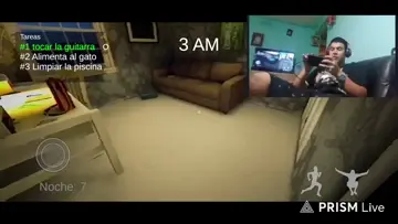 onta el gato?