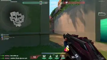 vandal
