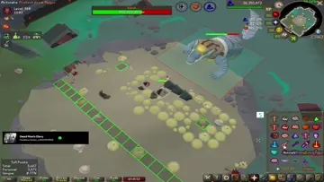 All Praise Zebak