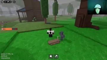 wolf