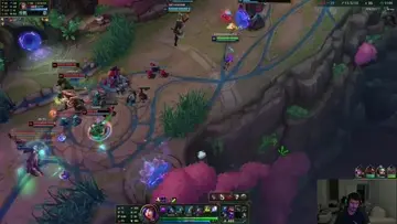 Kelebek gibi uçarım arı gibi sokarım. ( EU ARAM )