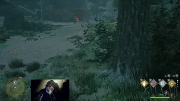 Catching a Niffler