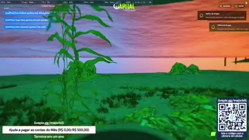 Utilizando de BUG para nao ser presa